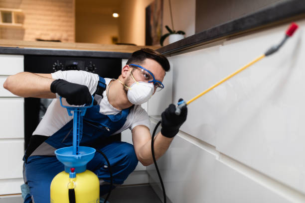 Reliable Valley, AL Pest Control Solutions