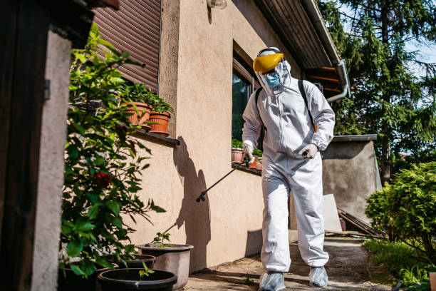 Pest Prevention Services in Valley, AL