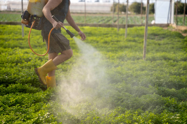 Pest Prevention Services in Valley, AL
