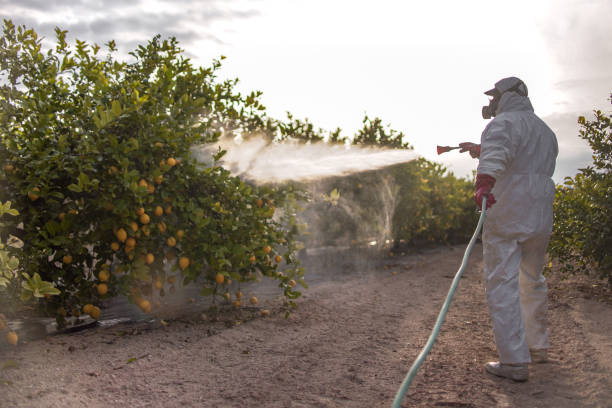 Best Commercial Pest Control Services  in Vley, AL